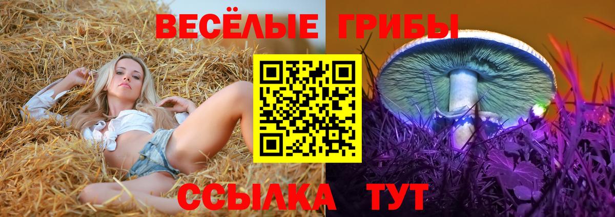 Алушта  Галлюциногенные грибы Cubensis  Псилоцибиновые грибы ЛСД  Вход с VPN 